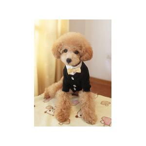 China Fashion 100% Cotton Yellow XL, L, XS Personalised Dog Hoodies supplier