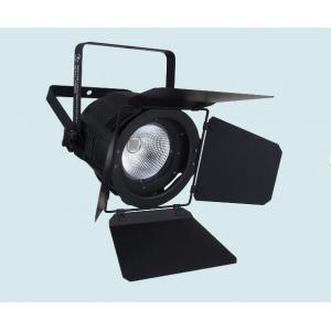 China Dmx 100w Cob Led Par Light White / Warm White Color Stage Wedding Lights Fixture wholesale