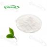 China epigallocatechin Gallate Green Tea Extract/EGCG Powder 94%/95%/98%/Decaffeinated wholesale