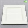 China Facotry Wholesale Sugarcane Pulp Square Plate-6 Inch/8inch/10inch,100%