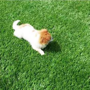 Low Maintenance Premium Green PE Artificial Grass For Pet Dog Training