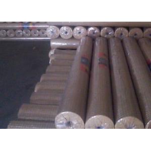 China 10x10 10 Gauge Welded Wire Mesh Hot Dipped Galvanized For Protection supplier