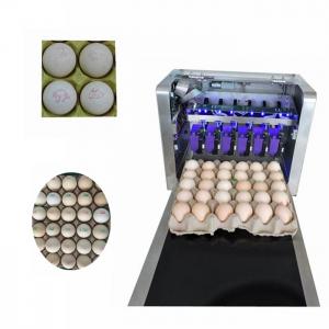 High Resolution Food Inkjet Printer , Eggs Expiry Date Printing Machine 