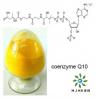 China Anti Oxidant Coenzyme Q10 CoQ10 Chemist Plant Extract Powder wholesale