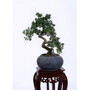Waterproof Bonsai Pine Tree Strong UV Resistance Podocarpus Macrophyllus