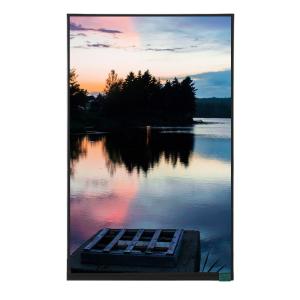 China Pantalla LCD TFT de 10.1 pulgadas, resolución 800x1280, con táctil MIPI opcional supplier