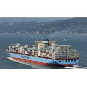 Speedy Ocean Freight Shipping From China To USA