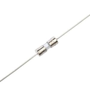 3.6x10mm Glass Tube Fuses / 10 Amp Slow Blow Fuse Axial Lead 250V
