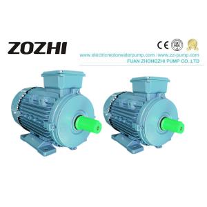 China Cast Iron 380v IE2 Three Phase Asynchronous Motor supplier