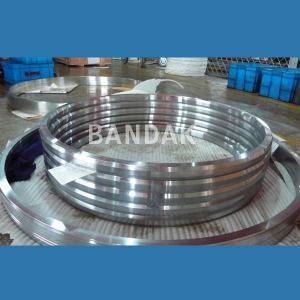 China Seals BX Ring Joint Gasket supplier