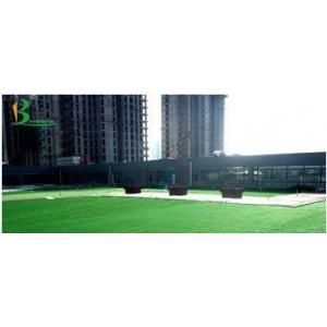 China Natural Green Outdoor Or Indoor Synthetic Grass Fake Lawn For Decoration 30mm supplier