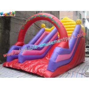 China Outdoor Inflatables blow up Slides with thick D anchor point rentals for commercial, home supplier