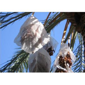 China White Color Jujube Collecting Net Bags With Hook Loop For Africa  Anti-UV HDPE Mesh Bags supplier