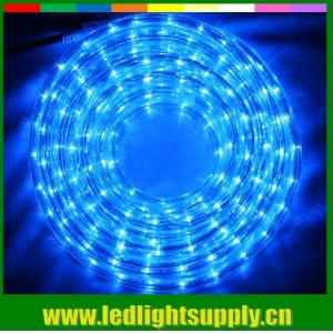 China Led flexible led strip 1/2'' 2 wire rope duralights with low volt 24/12v supplier
