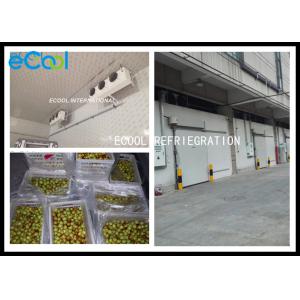China Fresh Jujube Preservation Frozen Warehouse Storage / Large Cold Storage 24 Hrs supplier