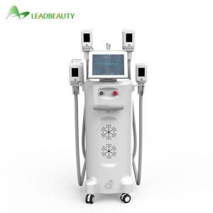 China criolipolisis cryolipolysis machine wholesale