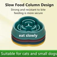 China Food Tray Anti-Choking Dog Bowl Pet Bowl Cat And Dog Food Bowl on sale
