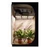China CE SAA LM301H SAMSUNG Quantum Board V3 640W Samsung Quantum Led Grow Lights wholesale