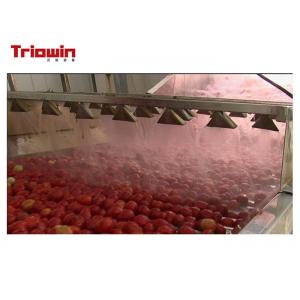 China Tomato Ketchup Manufacturing Plant / Tomato Sauce Making Plant Filling Type Available supplier