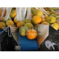 China PLC 5L Multihead Weigher Packing Machine for Agriculture Product on sale