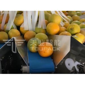 China PLC 5L Multihead Weigher Packing Machine for Agriculture Product supplier