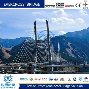Custom Cable Stayed Bridges Permanent Steel Cable Pedestrian Bridge