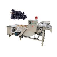 China Bitter Leaf Vegetable Mobile Truck Washing Machine Iso on sale