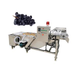 TCA high quality automatic bubble 800kg fruit and vegetable apricot washing equipment cleaning machine line