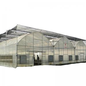 Customized Multi-span Vegetable Grow Tunnel Greenhouse for Vegetable Cultivation