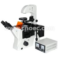 China Laboratory Biology Epi-Fluorescence Microscope 100X - 400X A16.0206 on sale