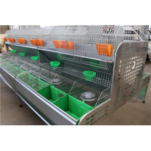Poultry Equipment Q235 Farm Rabbit Cage Automatic Drinking Cleaing