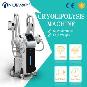 China Nubway 4 cryo handles whole body slimming cryolipolysis machine fat freezing machine supplier