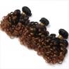 1B/4/27 3 Tone Ombre Malaysian Bouncy Curly Hair Bundles Remy Human Hair