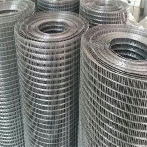 High quality customizable galvanized welded wire mesh for enclosure farming