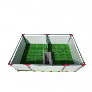 Pig Breeding Equipment Group Housing Nursery Cage Stall For Pigs
