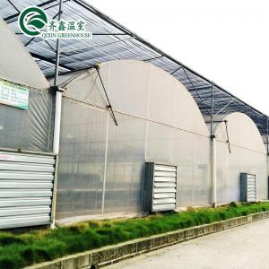 Greenhouse Aquaponics Hydroponic Growing System with Cooling and Ventilation Options