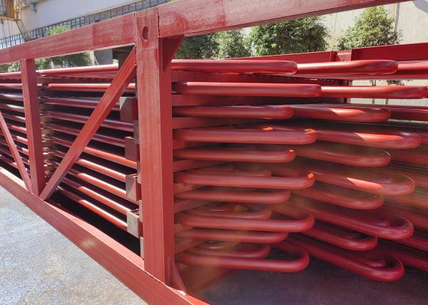 Supercalentador de caldera roja y recalentador en planta de energía de vapor personalizado