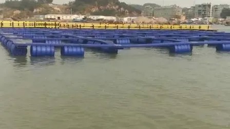 HDPE Pipe Floating Fish Farming Cage with 12 Grade Typhoon Resistance and 15 Years Lifespan for Deep Sea Aquaculture