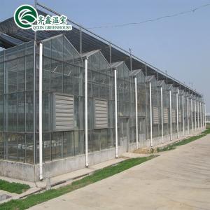 China Venlo Galvanized Steel Pipe Greenhouse with Tower Garden and Optimal Shading System supplier