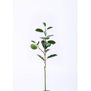 China A mão mínima artificial do cuidado dos ramos de árvore de Microcarpa do ficus Crafted excitantemente real supplier