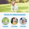China Summer Cooling Latex Pet Mat PVC and Nylon Cat and Dog Sleeping Bed with Ice Silk Cool Feature Animal Pattern Pet Supplies wholesale