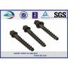ISO SGS inspected Q235 35# 45# Railway Sleeper Spikes Black Oxide Screws