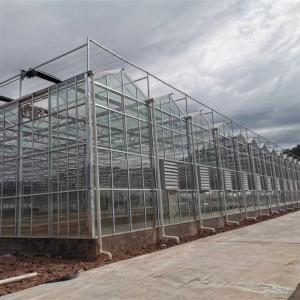 Heating System Serra Di Vetro Multi-Span Greenhouse Venlo Greenhouse Spare Parts Venlo Glass Winter Greenhouse