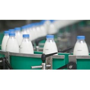 Milk And Milk Podwer Making Dairy Production Line 500 L/hour