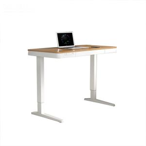 China Cold Rolled Carbon Steel Computer Gaming Electric Lift Office Table 40dB supplier