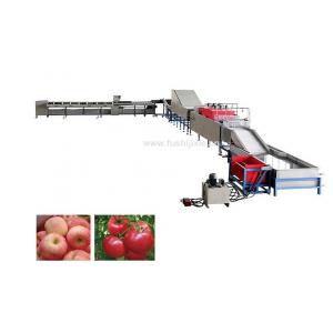 China Automatic Electronic Fruit Washing And Waxing Machine 5MT/H supplier