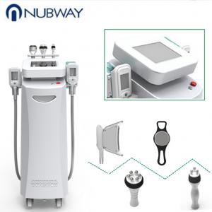 China CE / FDA approved fat freeze,skin rejuvenation,wrinkle removal five handles cryolipolysis slimming machine supplier