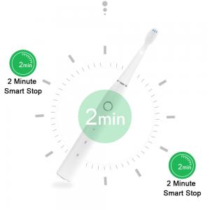 China Ultralight 3.7V Oral Care Sonic Toothbrush , IPX7 Portable Electric Toothbrush supplier