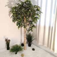 China Custom Artificial Landscaping Tree Bonsai Birch Garden Ornaments on sale