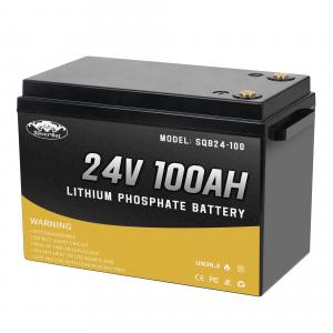 LFP 24V 100AH Lithium-Ion Battery Perfect For 48V Golf Cart, RV, Solar Panel And Home Backup Power System